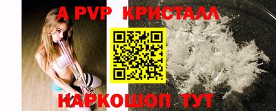 дживик Кингисепп