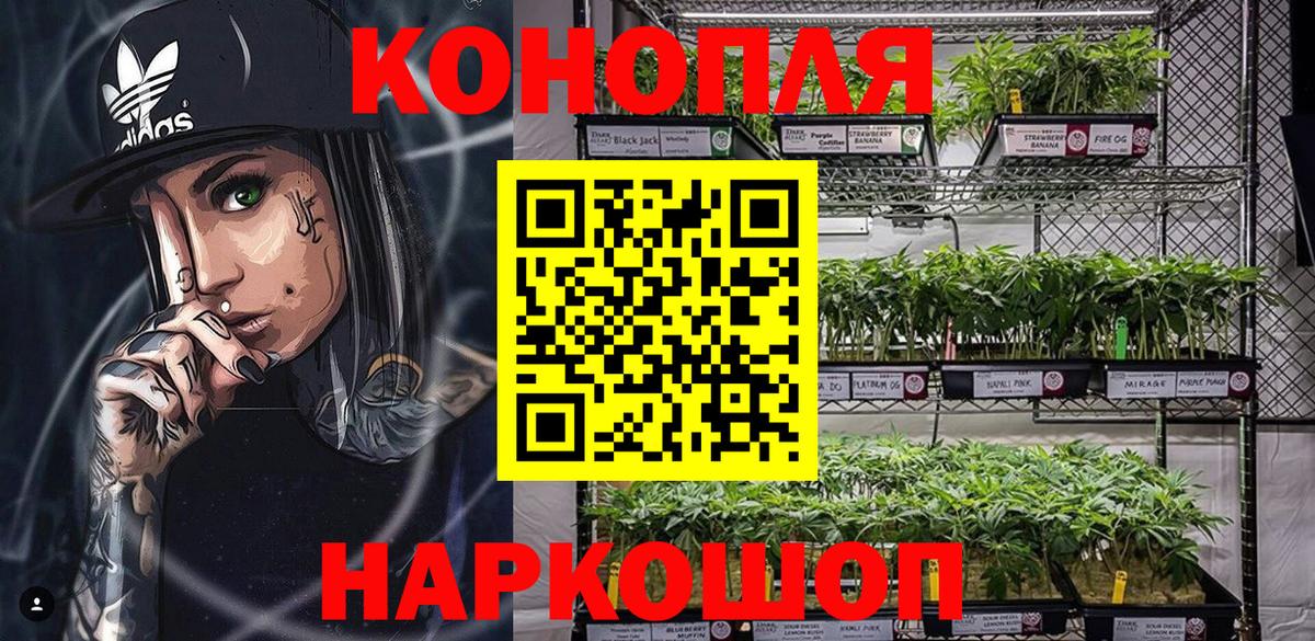 МАРИХУАНА планчик Клин
